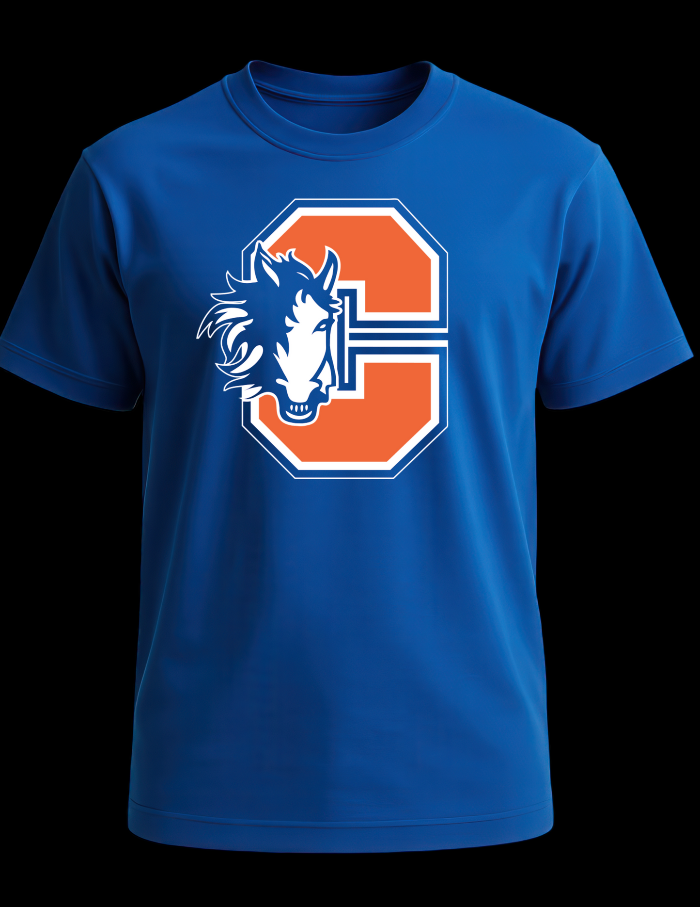 Chester Elementary Blue t-shirt
