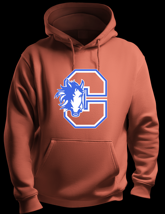 Chester Elementary orange hoodie